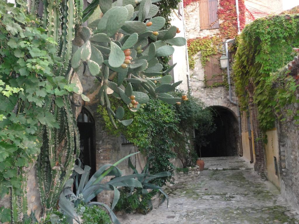 Les Grimaldines - Maison D'Hotes Cagnes-sur-Mer Rom bilde